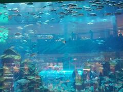 -迪拜帆船酒店海底餐厅