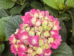 -常州古运河南大街文化旅游区-人民公园