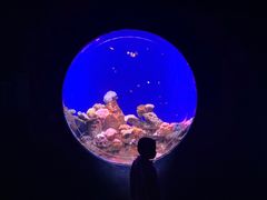 -江和美海洋公园