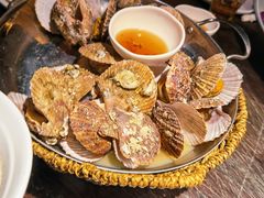 -前海沿·青岛菜(大拇指广场石老人店)