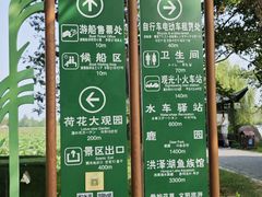 -泗洪洪泽湖湿地景区