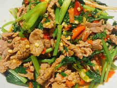 香菜炒牛肉-壹盏灯(蚂蚁工房店)