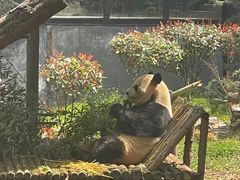 -云南野生动物园