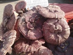 -牛头崖大集