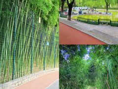 -长乐公园游乐场