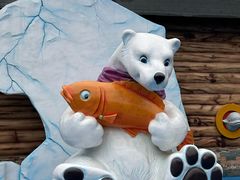 -海合安武汉极地海洋公园