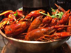 -沪小二炭火蛙锅(淮海中路美食不夜城店)
