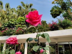 -人民公园(罗湖区)