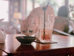 -咖法森林·咖啡  酒吧(天河店)