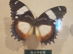 -陕西自然博物馆