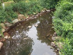 -白马涧龙池景区
