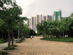 -中澳友谊花园