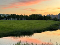 -洋湖国家湿地公园