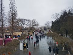 -赵州桥景区