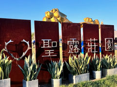-圣露庄园·亲子活动乐园·露营·团建婚礼