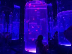 -海合安武汉极地海洋公园