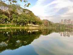 -重庆彩云湖湿地公园