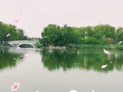 -大兴滨河森林公园