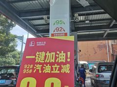 -中国石化(杨思路店)