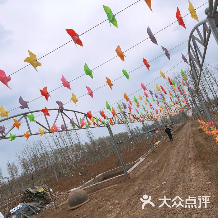 老黄牛耕读园开心农场