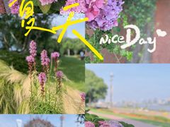 -北外滩滨江绿地