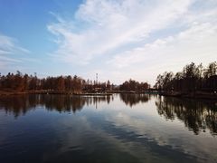 -宁波杭州湾国家湿地公园