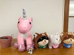 -豆柴町-柴犬主题狗咖(红鼎国际C座店)