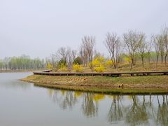 -东郊湿地公园