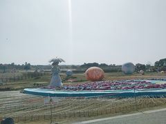 -空港花田景区