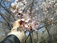 -森林公园(尖草坪区)
