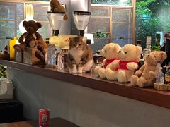 -咖法森林·咖啡  酒吧(天河店)