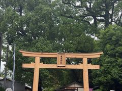 -水前寺成趣园