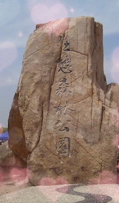 -昆山城市生态森林公园