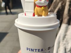 -PINTEA LAB(北京路店)
