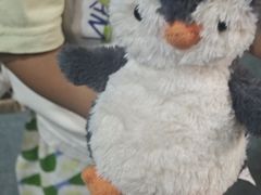 -海合安武汉极地海洋公园