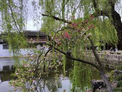 -水绘园