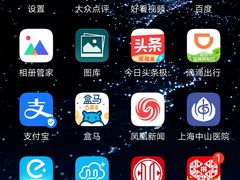 香酥咸蹄髈-桦立酒家(宜山路店)