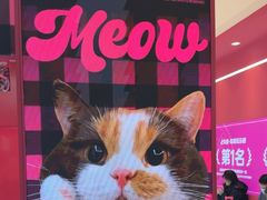 -K22.酸奶草莓(长春上海路万达店)