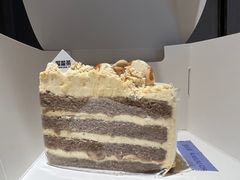-TD66高山铁皮石斛养生茶饮