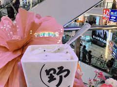 -野人先生Gelato(上海长宁龙之梦店)