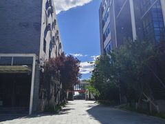 -北京师范大学附属中学