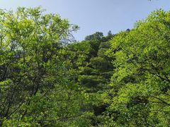 -神农山景区