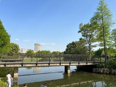 -尚贤河湿地