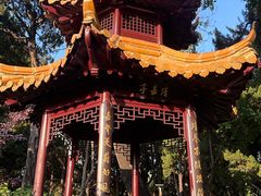 -嘉定紫藤园
