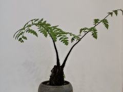 -马赛克照相馆(成都店)