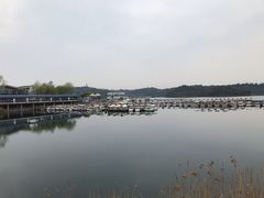 -仙海旅游度假区