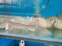 -名超海鲜烧烤大排档