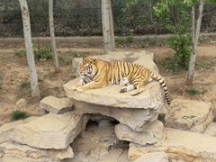 -济南野生动物世界