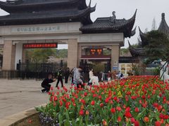 -苏州上方山国家森林公园