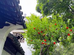 -秋霞圃